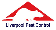 Liverpool Pest Control, professional pest control service for Liverpool, Merseyside and Cheshire. Wasp nest treatment or removal fixed price £45.00, contact us on  0151 321 0255 for more info.