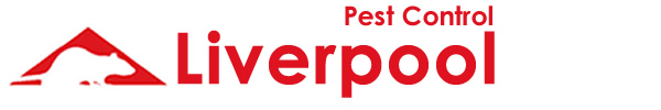 Eccleston Pest Control, professional pest control for residential and commercial customers in Liverpool and Merseyside. Wasp Nest treatment or removal fixed price £45.00 no extra, contact us on 0151 321 0255  for more information on our pest control services.